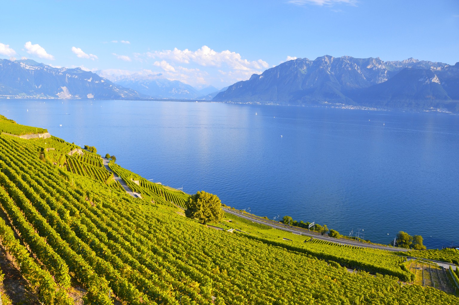 Genfersee statt Mittelmeer: Die Montreux Riviera dürfte diesen Sommer massenhaft Schweizer Touristen anziehen.