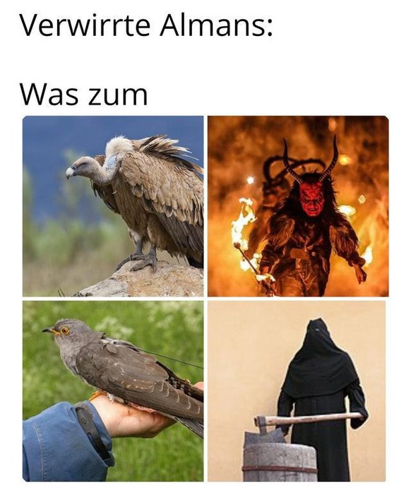 Die Lösung findest du weiter unten*