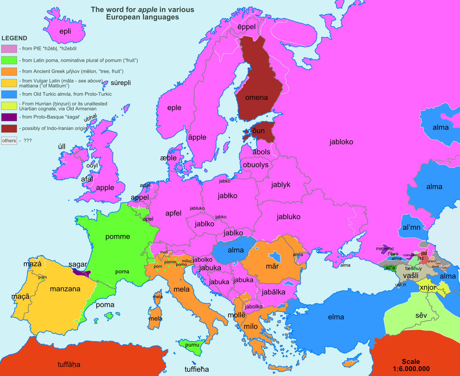 Das Wort Apfel entstammt bei uns und in weiten Teilen Europas aus der indogermanischen Ursprache (lila gefärbte Länder).