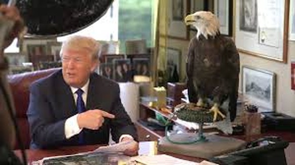 Trump posiert mit dem Wappentier im Trump Tower.
