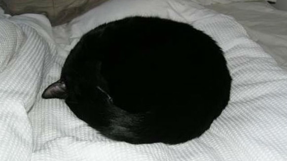 Schwarze Katze auf dem Sofa sieht wie ein schwarzes Loch aus.