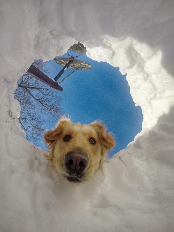 Schnee und Hund
Cute News
https://imgur.com/gallery/ADwncYQ