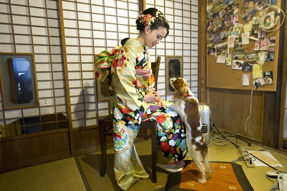 Die Liebe zu Haustieren geht in Japan sehr weit.