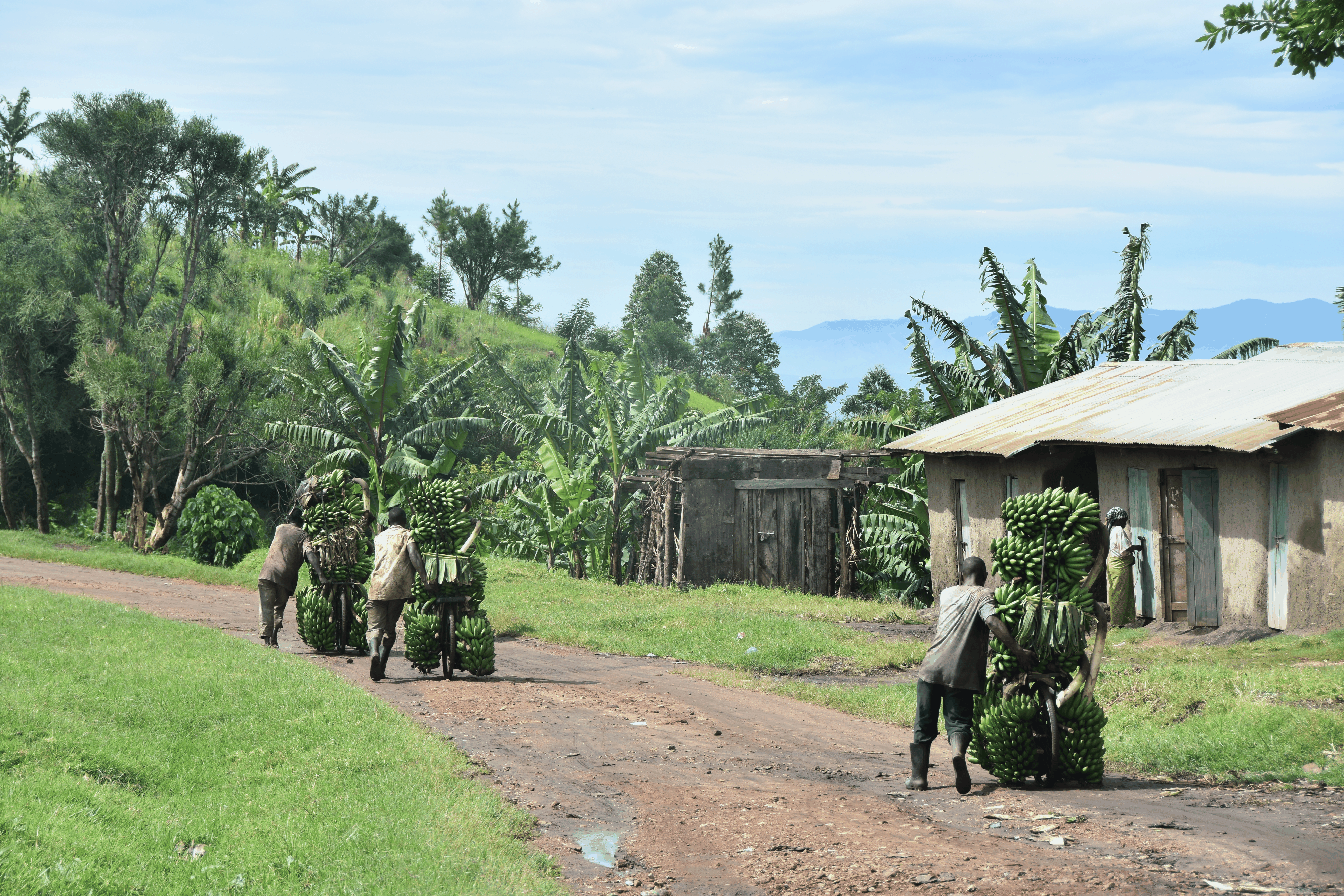 Kabata, Uganda, Bild: Lukas Steiner