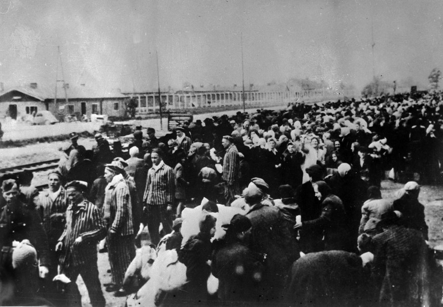 Eine Zugladung von Opfern, die fuer das Konzentrationslager in Auschwitz bestimmt sind. Die Reichsbahn hat eine wesentliche Rolle bei der Deportation von Millionen Opfern des Holocausts in die Todesla ...