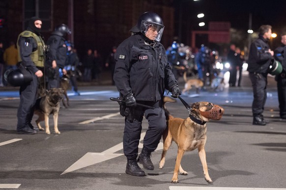 Polizei und Hunde in Dresden am Montagabend.