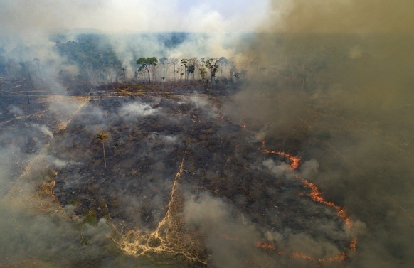 Fire consumes land recently deforested by cattle farmers near Novo Progresso, Para state, Brazil, Sunday, Aug. 23, 2020. Environmentalists say that the Amazon has lost about 17% of its original area a ...