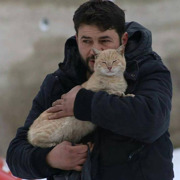 Katzenmann von Aleppo