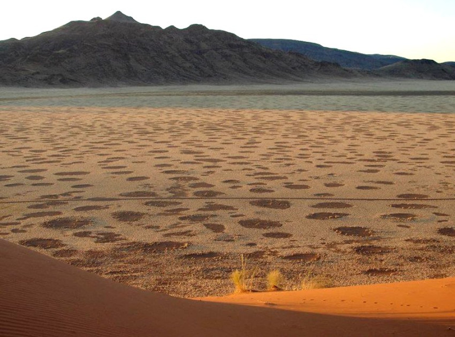 Runde Geheimnisse: Feenkreise in Namibia.
