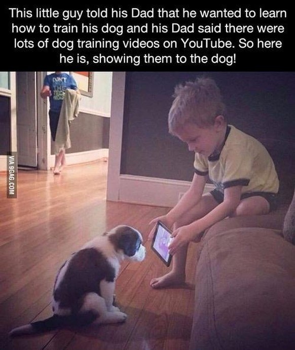 «Dieser kleine Junge erzählte seinem Papa, dass er lernen wolle, seinen Hund zu trainieren. Sein Papa sagte ihm, es gebe viele Hunde-Trainingsvideos auf YouTube. Hier ist er also und zeigt seinem Hund ...