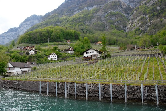 View of the small village of Quinten at Lake Walen in the canton of St. Gallen, Switzerland, pictured on May 4, 2008. Situated on a small headland, Quinten is bounded by the lake on one side and the m ...