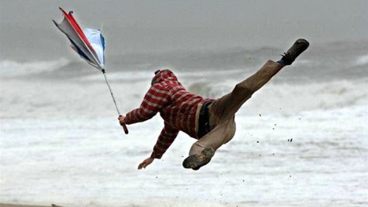 Get Starker wind lustig For Free