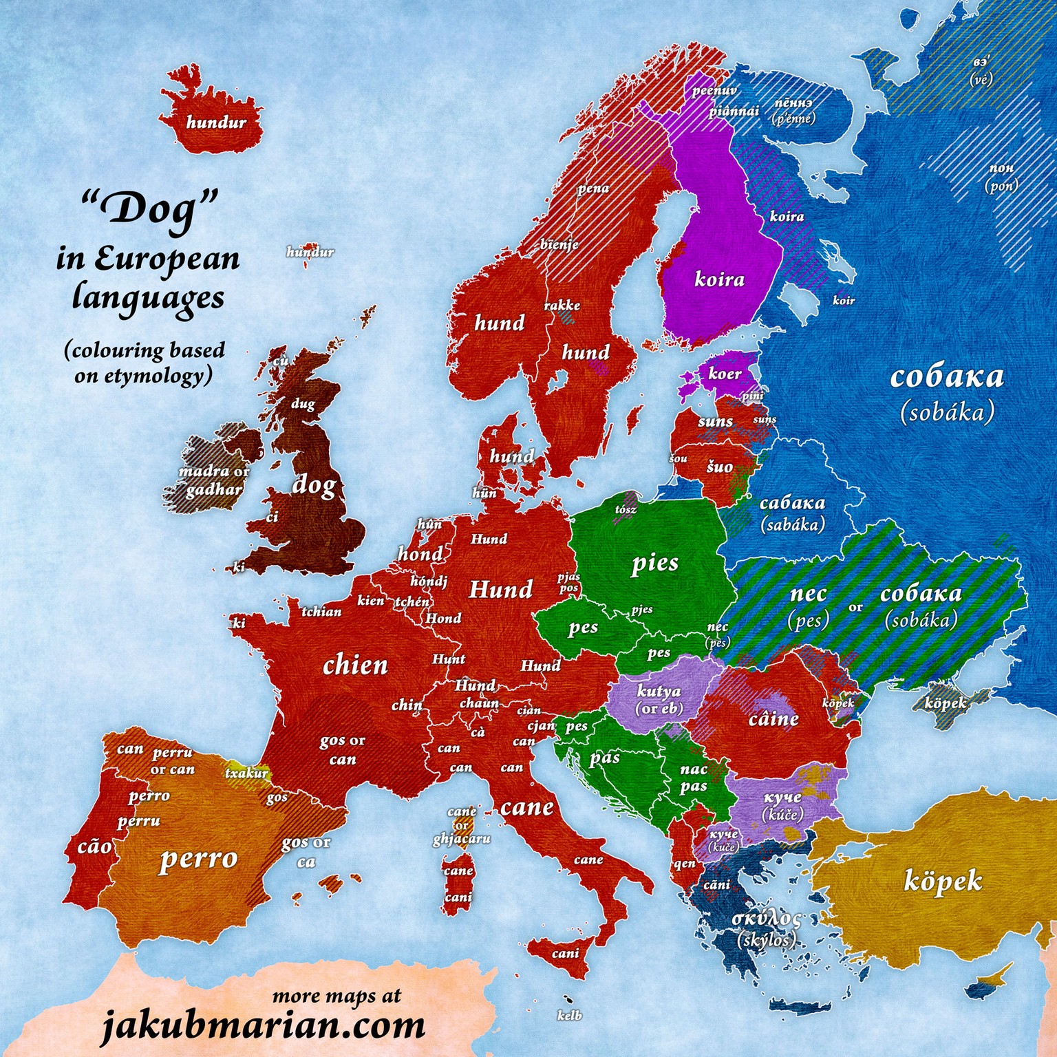 Der Begriff «Hund» in den europäischen Sprachen