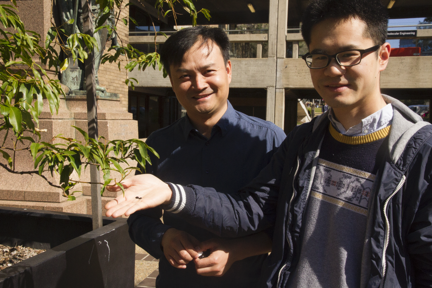 Das Team um Professor Jun Huang (l.) hat sich von Pflanzen und Blättern inspirieren lassen.