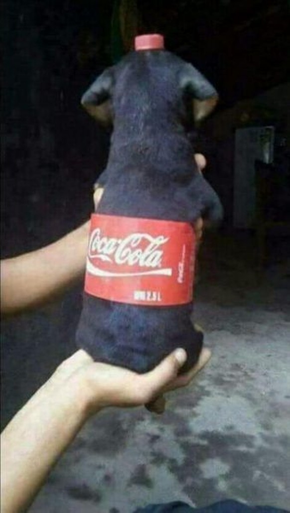 Coca Cola Hund

https://www.pinterest.com/pin/384072674455959409/