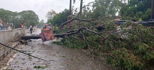 epa08432927 An uprooted tree lies in the middle of a road in the Bhadrak district in Odisha, India, 20 May 2020. Cyclone Amphan approaches through the Bay of Bengal and it is expected to make landfall ...