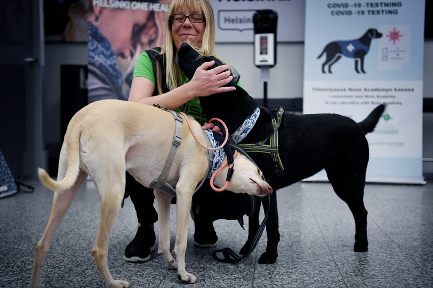 Sniffer dogs named K&#039;ssi, left and Miina react with trainer Susanna Paavilainen at the Helsinki airport in Vantaa, Finland, Tuesday, Sept. 22, 2020. Four corona sniffer dogs are trained to detect ...