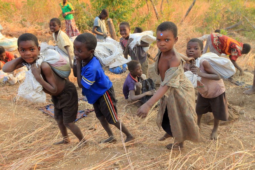 Children carry bags of grain they picked up from a truck after it overturned spilling grain in the forest in Machinga, about 200 kilometers north east of Blantyre, Malawi, Tuesday, May 24, 2016. Hundr ...