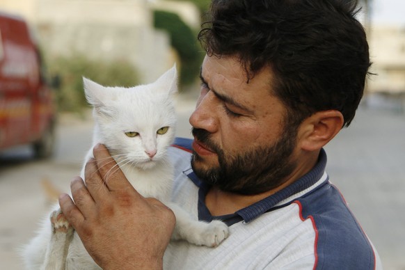Alaa, an ambulance driver, carries a cat in Masaken Hanano in Aleppo, September 24, 2014. Alaa buys about $4 of meat everyday to feed about 150 abandoned cats in Masaken Hanano, a neigbourhood in Alep ...