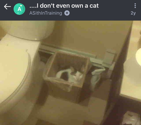 Ich besitze keine Katze
https://imgur.com/gallery/I8xoC