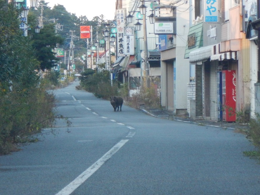 Geisterstadt Okuma beim Atomkraftwerk Fukushima
https://real-fukushima.com/projects/okuma_town/