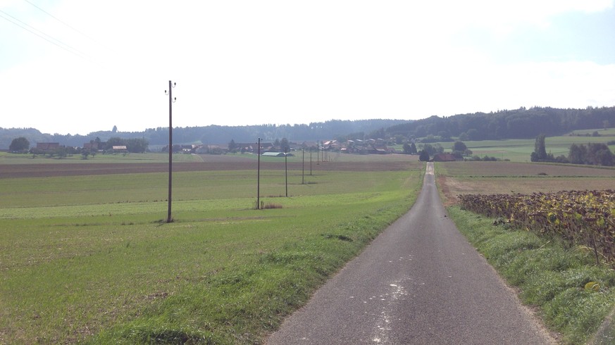 Typisch für die ländliche Region von Fribourg und Waadt: ein nettes Strässchen und viel Natur. Ich find das ja eigentlich noch cool.