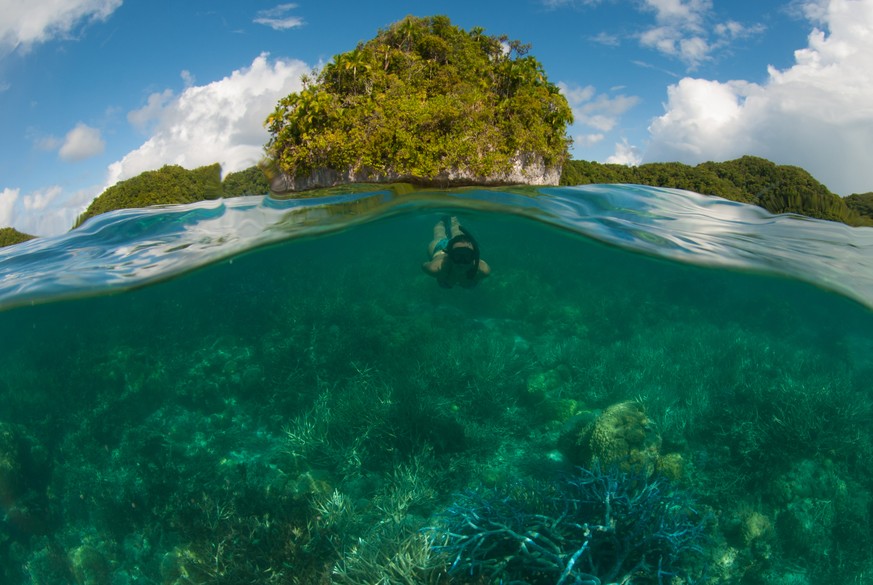 Schnorcheln Rock Islands Palau, Bild: Vanessa Jaiteh