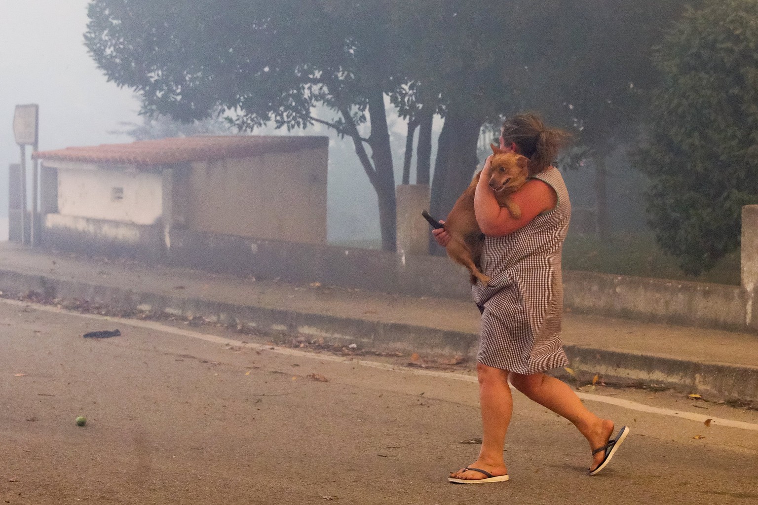 epa06267763 A woman carries a dog during a forest fire in Vila Nova de Poiares, Lousa, Portugal, 15 October 2017. The National Civil Protection Authority (ANPC) said it &#039;was the worst day of the  ...