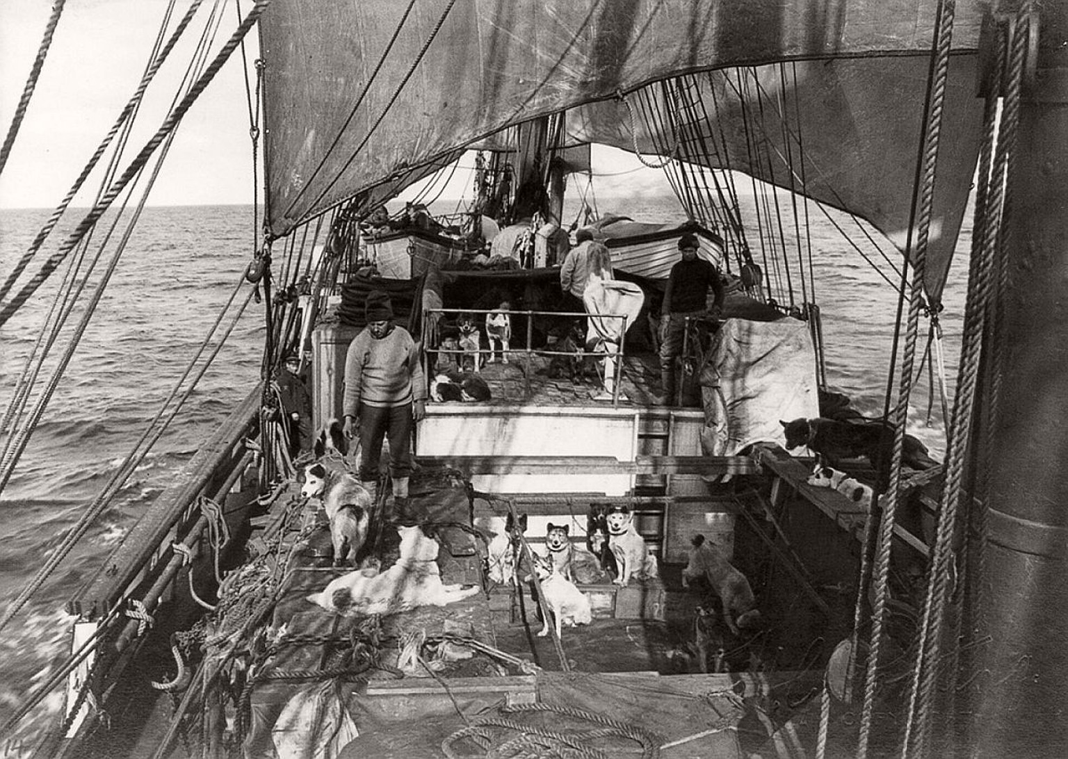 Dezember 1910: Die Terra Nova transportierte 3 Motorschlitten, 162 Hammelkadaver, 19 Ponys, 33 Hunde und mehr als 450 Tonnen Kohle – ganz zu schweigen von 65 Personen, von Seeleuten bis zu Wissenschaf ...