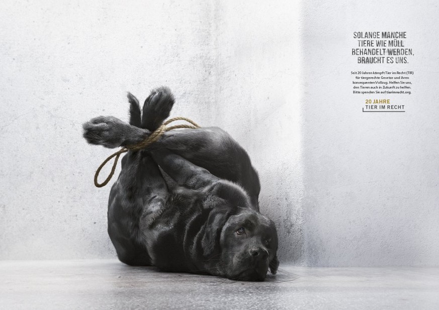 Ein Poster aus einer preisgekrönten Kampagne der Stiftung Tier im Recht.