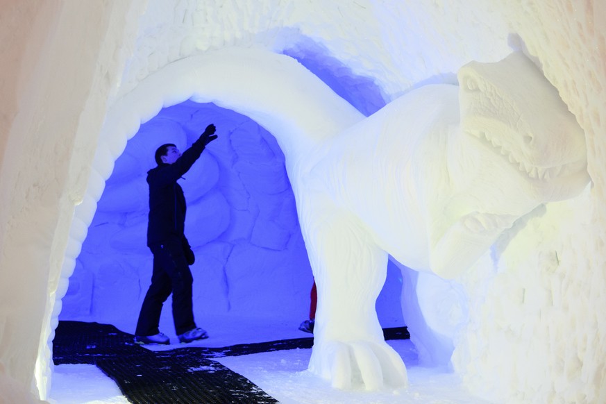 A visitor looks at snow sculptures of dinosaurs and other prehistoric animals on display in an artificial cave measuring more than 30 metres long and 15 metres wide and made with 1,200 m3 of artificia ...