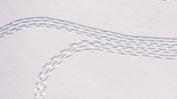 Part of a complex giant geometric pattern formed from thousands of footsteps in the snow in Espoo, Finland, Monday Feb. 8, 2021. The art work design measuring about 160 meters in diameter was made by  ...