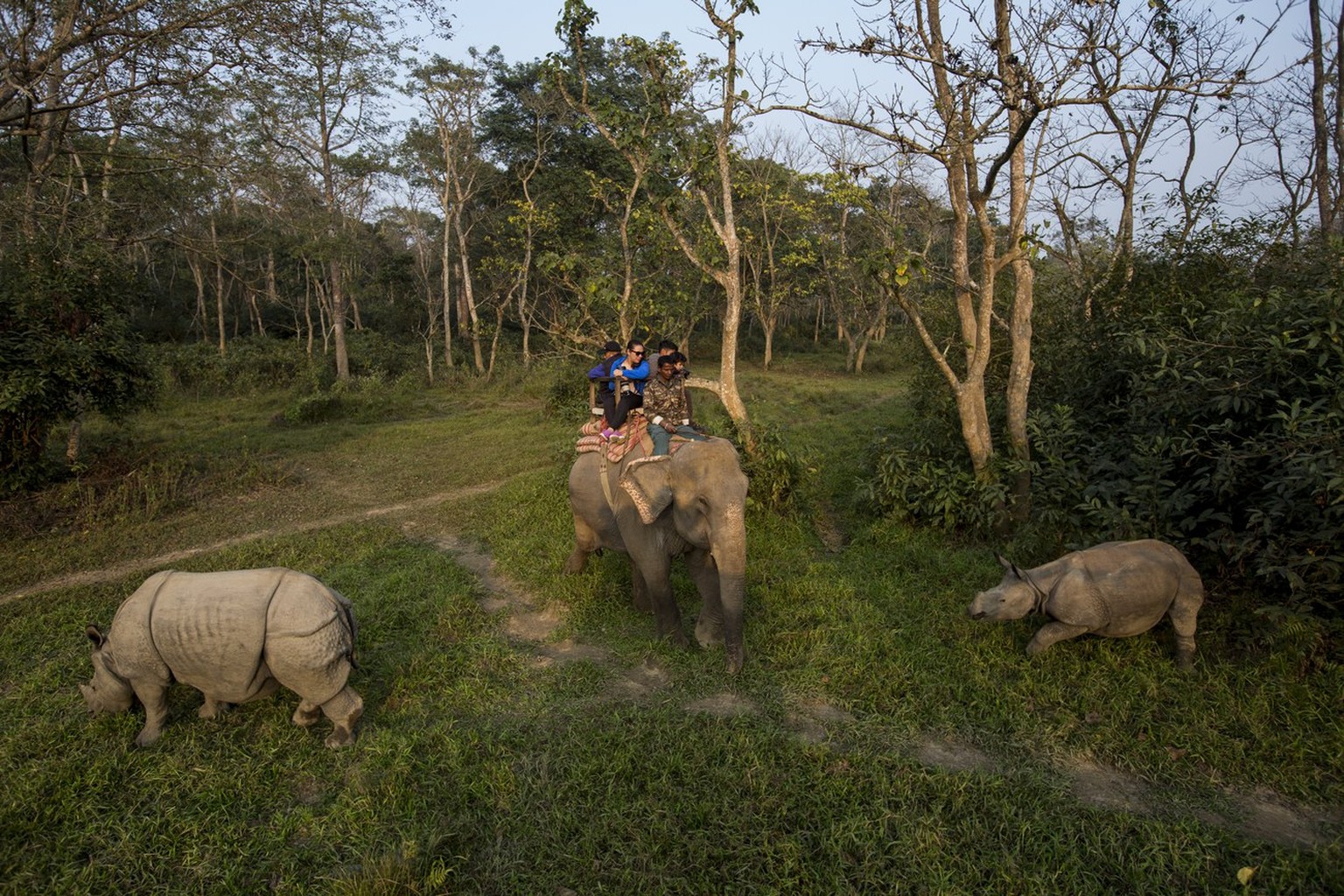 epa06405382 Tourists look at one-horned rhinos during an elephant ride as they visit Chitwan National Park, in Chitwan district, Nepal, 25 December 2017. EPA/NARENDRA SHRESTHA
