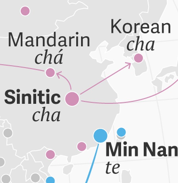Te entstammt der südchinesischen Sprache Min Nan, die in der Provinz Fujian an der Küste gesprochen wird.