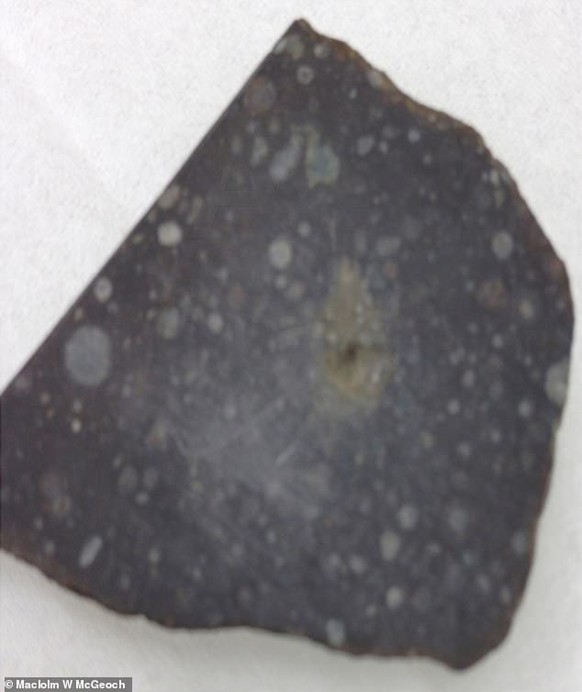 Meteorit Acfer-086, 1990 in Algerien gefunden.