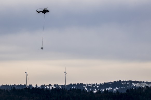 epa09124048 A Super Puma helicopter from the Swiss Air Force, carries a horse during an exercise in Saignelegier, Canton of Jura, Switzerland, 09 April 2021. The goal is to provide transportation and  ...