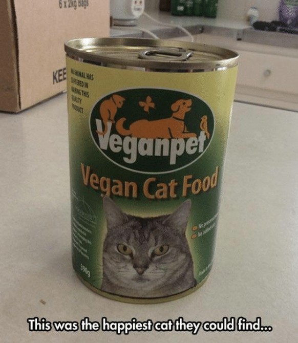 Vegan Cat Food
Cute News
https://awwmemes.com/i/e855ceadfe1048cb9d877a9bcd8d7cde