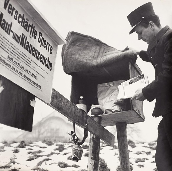 Auch später sorgte die Maul- und Klauenseuche immer wieder für Einschränkungen im Postbetrieb. Die Aufnahme zeigt einen Briefträger bei der Zustellung in Root (LU) im Jahre 1966.
https://www.mfk.ch/ho ...