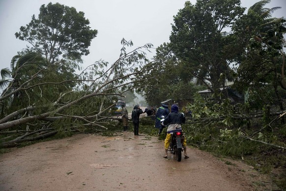 epa08795957 A fallen tree on a road due to intense rains and winds due to the passage of category 4 hurricane ETA on the north Caribbean coast of Bilwi, Nicaragua, 03 November 2020. The eye of hurrica ...
