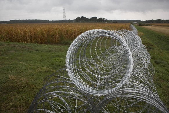 Der kommt jetzt wieder weg: Dreifacher NATO-Stacheldraht an der ungarisch-slowenischen Grenze.