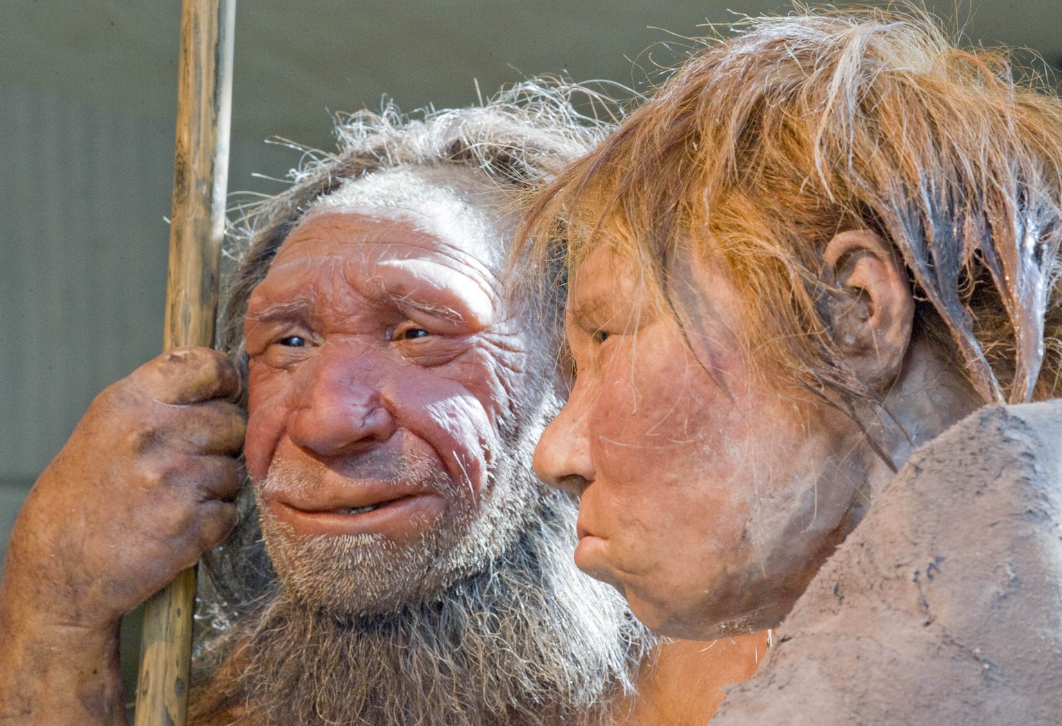 Neandertaler-Paar im Neandertaler-Museum in Mettmann, Deutschland.