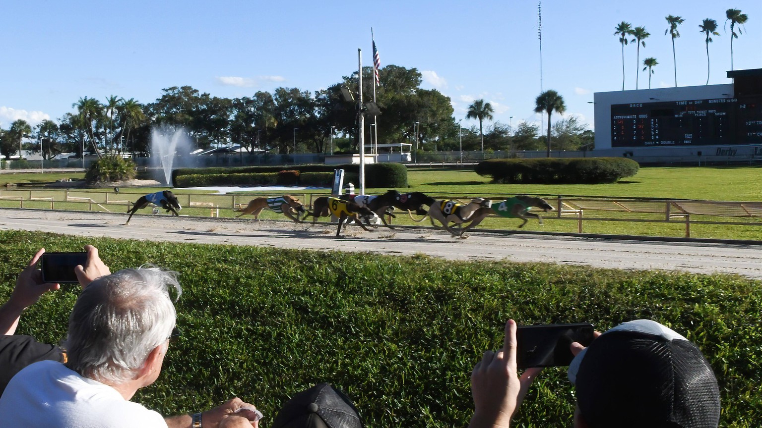 December 27, 2020, St. Petersburg, Florida, United States: Racing fans watch as greyhounds cross the finishing line during the final program of greyhound races at Derby Lane, the oldest continuously o ...