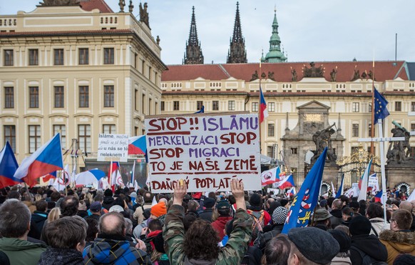 Demo der Rechtspopulisten in Prag.