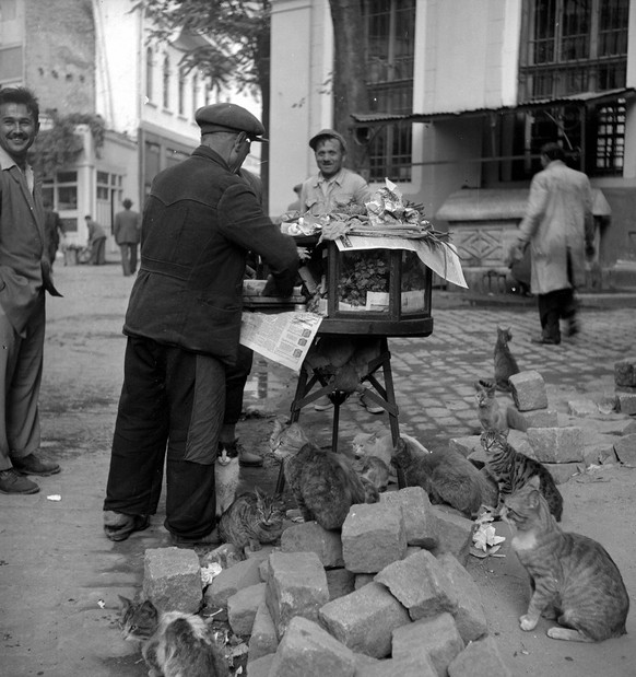 TURKEY - CIRCA 1952: Hawker of kebab (roasted meat) surrounded of cats. Istanbul (Turkey), June 1952. RV-97711. (Photo by Roger Viollet via Getty Images)