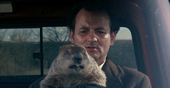 Punxsutawney Phil mit Bill Murray in «Groundhog Day» («Und täglich grüsst das Murmeltier»).