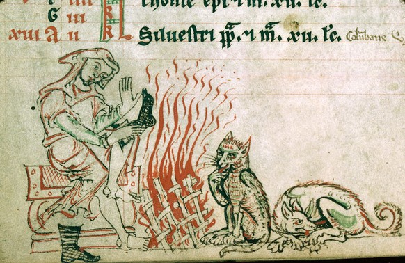 Katzen waren im Mittelalter verhasst.