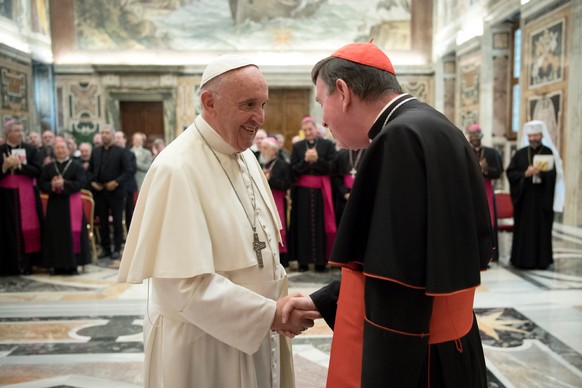 Pope Francis shakes hands with Cardinal Kurt Koch, President of the Pontifical Council for the Promotion of Christian Unity, on the occasion of his audience with members of a plenary session of the po ...