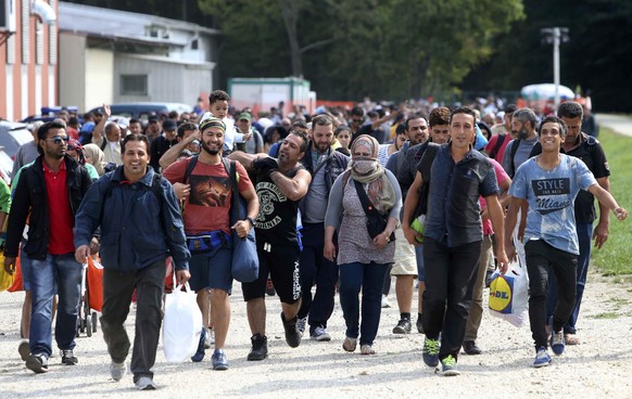 Eine Gruppe von Flüchtlingen an der österreichisch-slowenischen Grenze gehen in Richtung Bad Radkersburg.