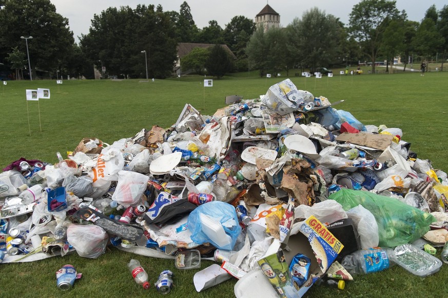 Ein Abfallberg liegt im St. Johanns-Park in Basel am Mittwoch, 17. Juli 2013. (KEYSTONE/Georgios Kefalas)