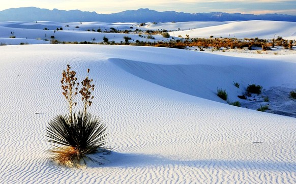 Beliebtes Reiseziel USA: Hier der White Sands Nationalpark im Bundesstaat New Mexico.